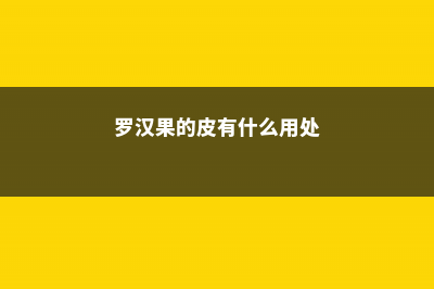 罗汉果的皮有什么用，能泡水喝吗 (罗汉果的皮有什么用处)