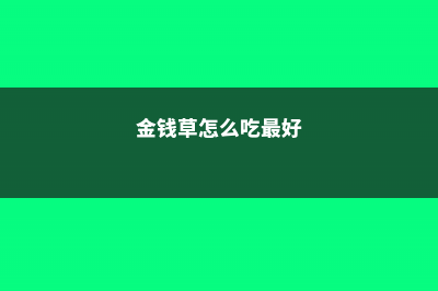 金钱草怎么吃，金钱草能长期吃吗 (金钱草怎么吃最好)