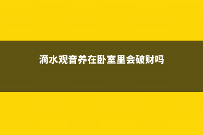 滴水观音养在卧室好吗，有什么注意事项 (滴水观音养在卧室里会破财吗)