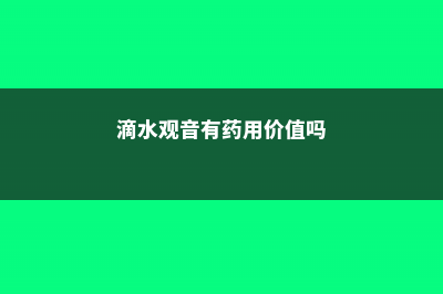 滴水观音能吃吗，滴水观音的外形特点 (滴水观音有药用价值吗)