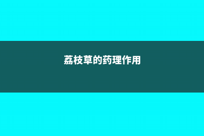 荔枝草的功效作用禁忌，荔枝草图片 (荔枝草的药理作用)