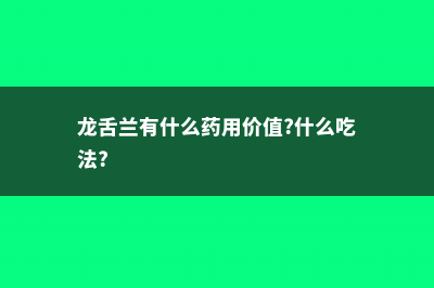 龙舌兰有什么功效，龙舌兰有没有毒 (龙舌兰有什么药用价值?什么吃法?)