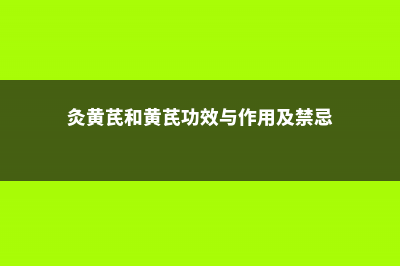 灸黄芪是黄芪吗，炙黄芪和黄芪的区别介绍 (灸黄芪和黄芪功效与作用及禁忌)