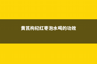 黄芪枸杞红枣泡水喝的功效和禁忌 (黄芪枸杞红枣泡水喝的功效)