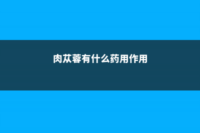 肉苁蓉有什么药用价值 (肉苁蓉有什么药用作用)