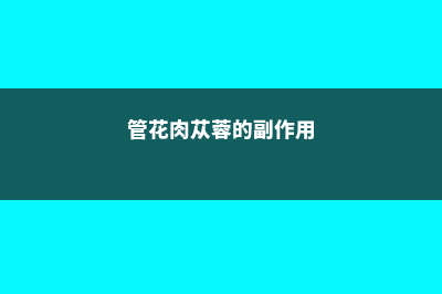 管花肉苁蓉的功效与作用 (管花肉苁蓉的副作用)