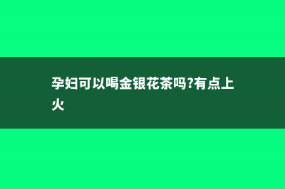 孕妇可以喝金银花吗，婴儿可以喝金银花水吗 (孕妇可以喝金银花茶吗?有点上火)