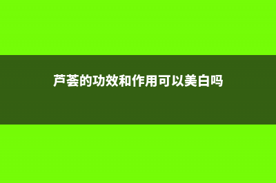 芦荟的功效和作用，芦荟怎么吃 (芦荟的功效和作用可以美白吗)