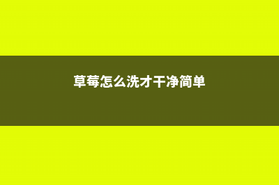 草莓怎么洗才干净，能放冰箱保存吗 (草莓怎么洗才干净简单)