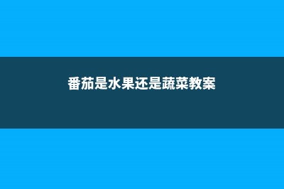 番茄是水果还是蔬菜，是凉性的还是热性的 (番茄是水果还是蔬菜教案)