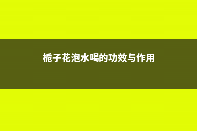 栀子花泡水喝的禁忌，栀子花怎么泡水喝 (栀子花泡水喝的功效与作用)