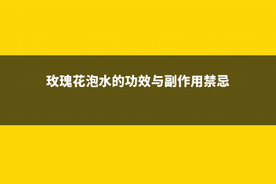 玫瑰花泡水的功能和禁忌，泡水喝放几朵 (玫瑰花泡水的功效与副作用禁忌)