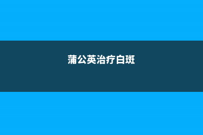 蒲公英可以祛痘吗，怎么祛痘 (蒲公英治疗白斑)