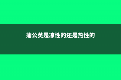 蒲公英是凉性的吗，跟什么配不寒 (蒲公英是凉性的还是热性的)