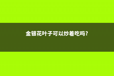 金银花叶子可以泡水喝吗，叶子泡水的功效与作用 (金银花叶子可以炒着吃吗?)