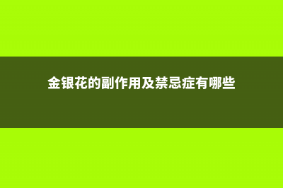 金银花的副作用与禁忌，金银花的功能 (金银花的副作用及禁忌症有哪些)