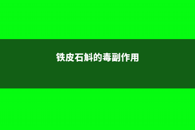 铁皮石斛有毒吗，铁皮石斛可以泡水喝吗 (铁皮石斛的毒副作用)