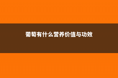 葡萄有什么营养和功效，有什么好处 (葡萄有什么营养价值与功效)