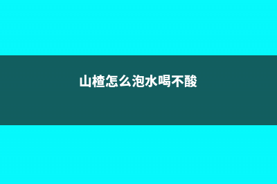 山楂怎么泡水喝，泡水喝有好处吗 (山楂怎么泡水喝不酸)