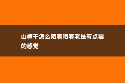 山楂干怎么晒，山楂晒干后怎么吃 (山楂干怎么晒着晒着老是有点霉的感觉)