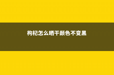 枸杞怎么晒干，枸杞怎么保存不会受潮 (枸杞怎么晒干颜色不变黑)