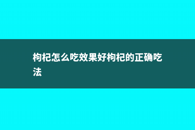 枸杞的吃法，枸杞加什么最补肾壮阳 (枸杞怎么吃效果好枸杞的正确吃法)