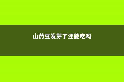 山药发芽还能吃吗，山药发芽了怎么种 (山药豆发芽了还能吃吗)