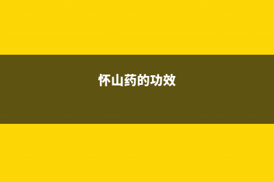 山药和淮山有什么区别，山药和淮山哪个好 (怀山药的功效)