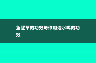 鱼腥草的功效，鱼腥草能吃吗 (鱼腥草的功效与作用泡水喝的功效)