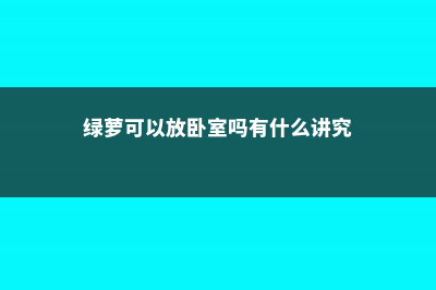 绿萝可以放卧室里养吗，摆放禁忌 (绿萝可以放卧室吗有什么讲究)