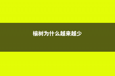 榆树为什么是鬼树，四大鬼树是什么 (榆树为什么越来越少)