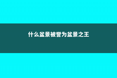 盆景之王是什么树，十大盆景名贵树种排名 (什么盆景被誉为盆景之王)