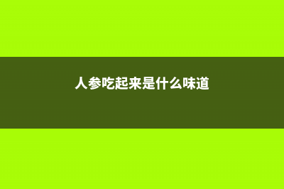 人参是苦的吗，吃法及禁忌 (人参吃起来是什么味道)