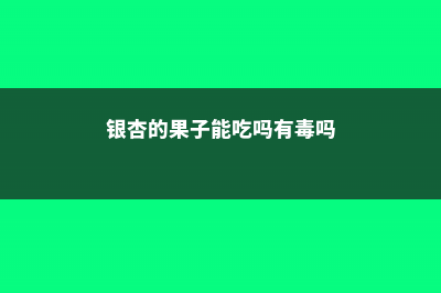 银杏的果子能吃吗，怎么吃 (银杏的果子能吃吗有毒吗)