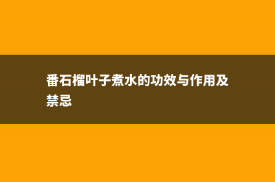 海棠的功效和作用，有什么禁忌 (海棠的功效与作用吃法)