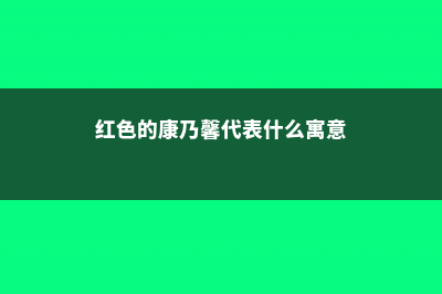 红色的康乃馨代表什么意思 (红色的康乃馨代表什么寓意)