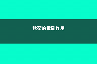 秋葵有毒吗，秋葵不适宜什么人吃 (秋葵的毒副作用)