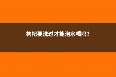 枸杞要洗了再泡吗，泡多久才可以煮 (枸杞要洗过才能泡水喝吗?)