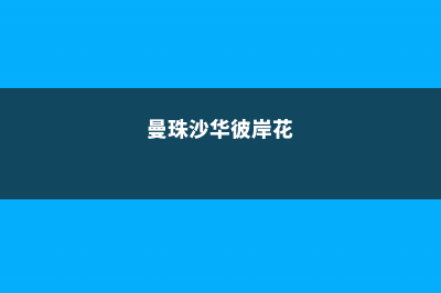 彼岸花是曼陀罗花吗，彼岸花和曼陀罗花有什么区别 (曼珠沙华彼岸花)