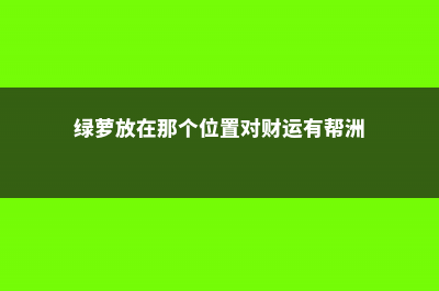 绿萝放哪不破财，家里摆哪里最好 (绿萝放在那个位置对财运有帮洲)