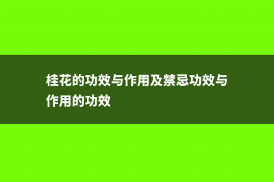 桂花的功效，桂花的功效与作用禁忌 (桂花的功效与作用及禁忌功效与作用的功效)