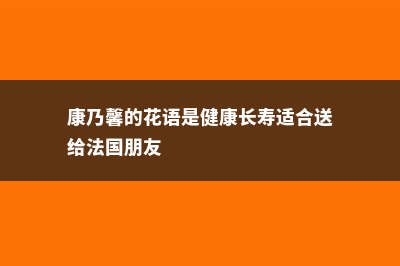 康乃馨的花语是什么，适合送什么人 (康乃馨的花语是健康长寿适合送给法国朋友)