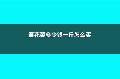 莲雾怎么吃，孕妇可以吃吗 (莲雾怎样吃效果好)