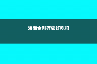 莲雾好吃吗，（吃法介绍） (海南金刚莲雾好吃吗)