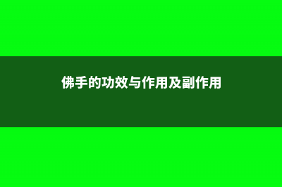 佛手的功效与作用以及副作用 (佛手的功效与作用及副作用)