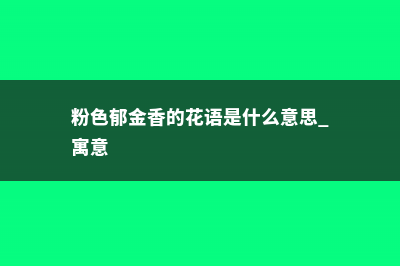 粉色郁金香的花语和寓意 (粉色郁金香的花语是什么意思 寓意)