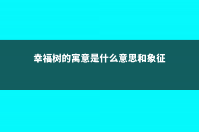 幸福树的寓意是什么 (幸福树的寓意是什么意思和象征)