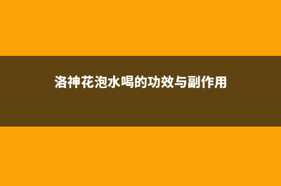 洛神花泡水喝的功效，洛神花茶可以减肥吗 (洛神花泡水喝的功效与副作用)