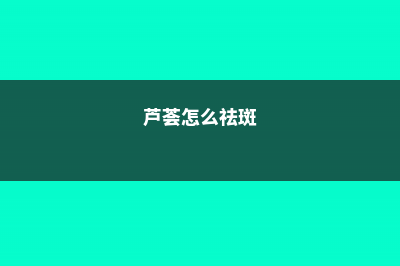 芦荟怎样祛斑，芦荟可以治痘痘吗 (芦荟怎么祛斑)