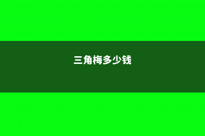 三角梅多少钱，三角梅报价 (三角梅多少钱)